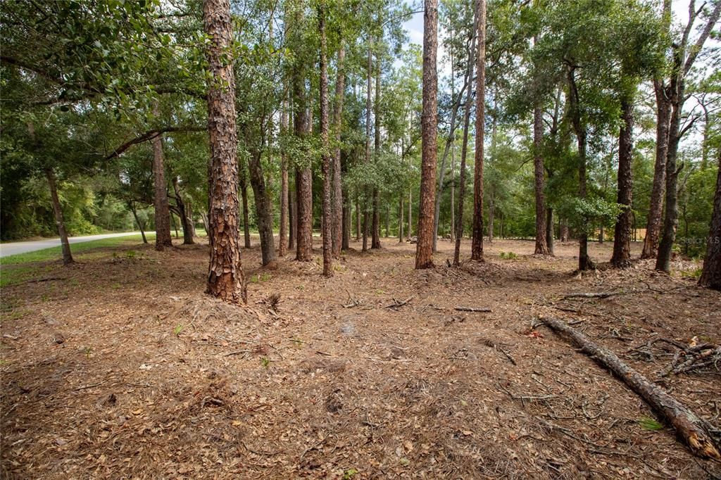 待售: $25,000 (0.47 acres)