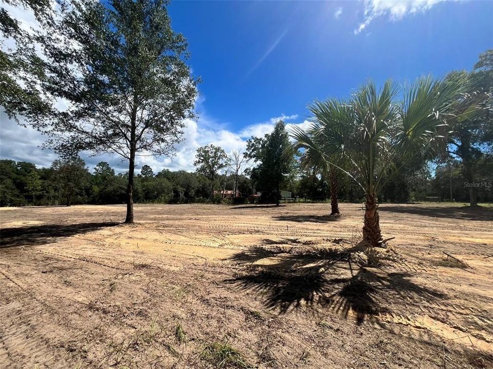En Venta: $36,000 (1.25 acres)