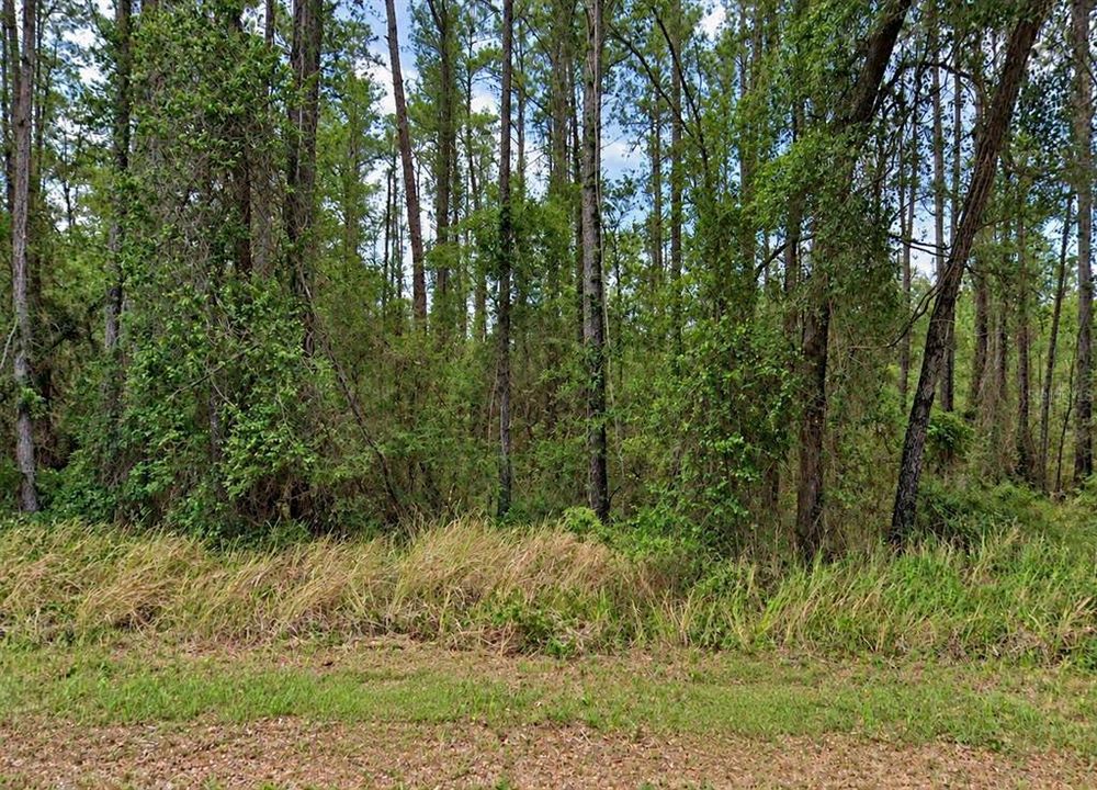 На продажу: $15,900 (0.26 acres)