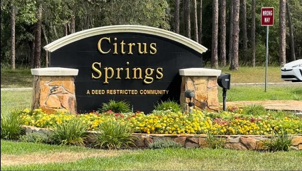 На продажу: $15,900 (0.26 acres)