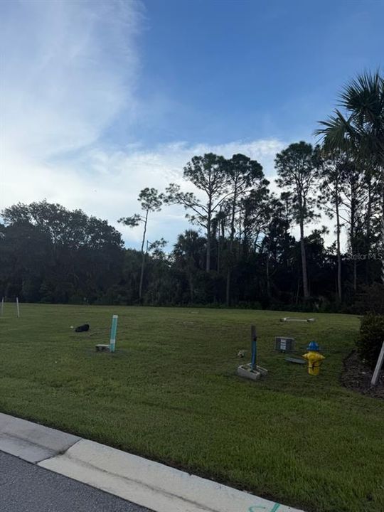 待售: $395,000 (0.14 acres)