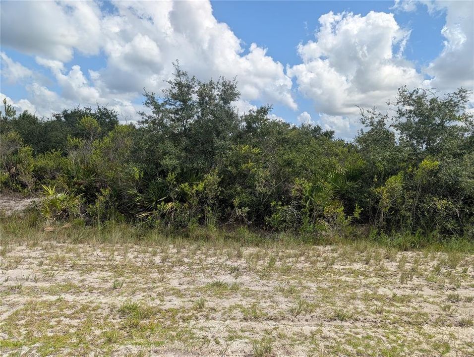 En Venta: $10,000 (0.52 acres)