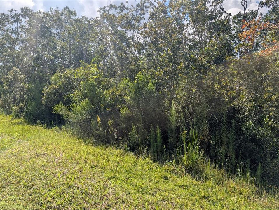 待售: $9,900 (0.50 acres)