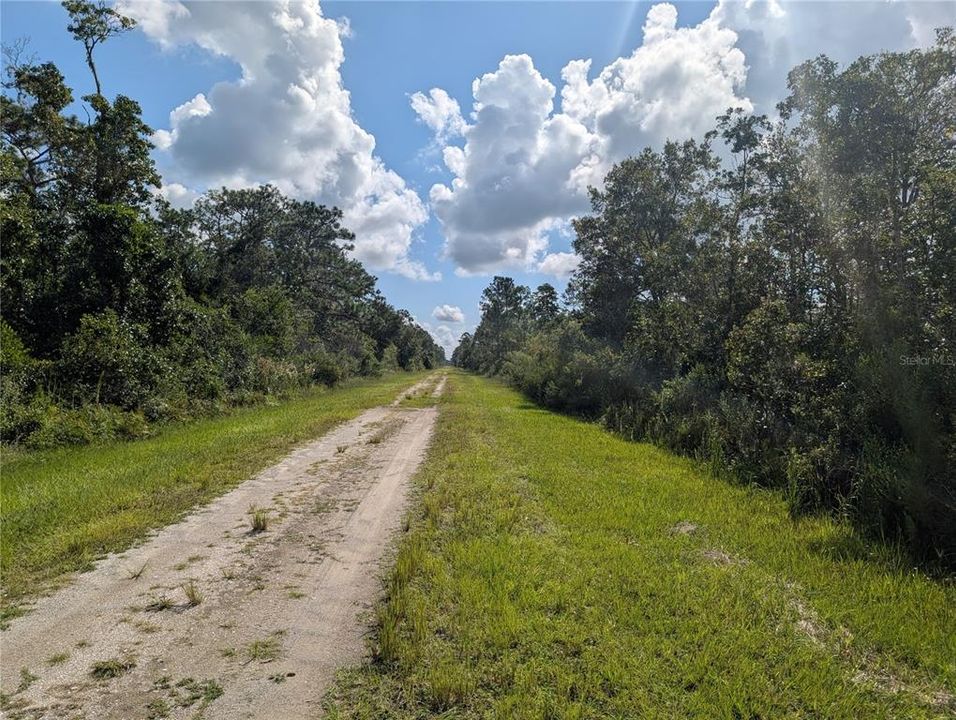 待售: $9,900 (0.50 acres)