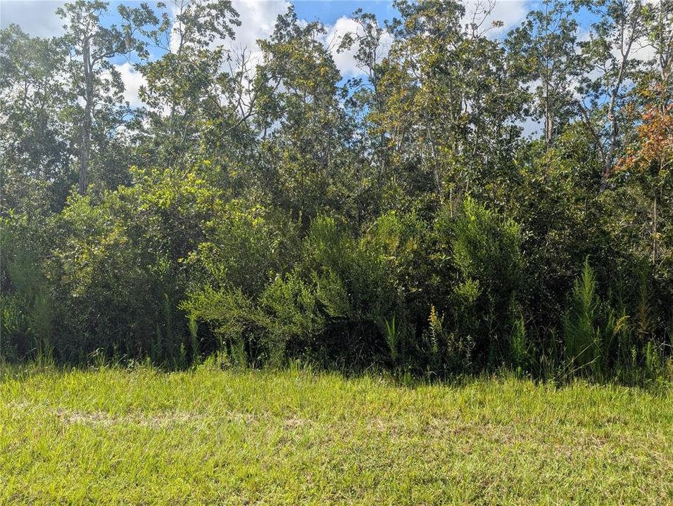 待售: $9,900 (0.50 acres)