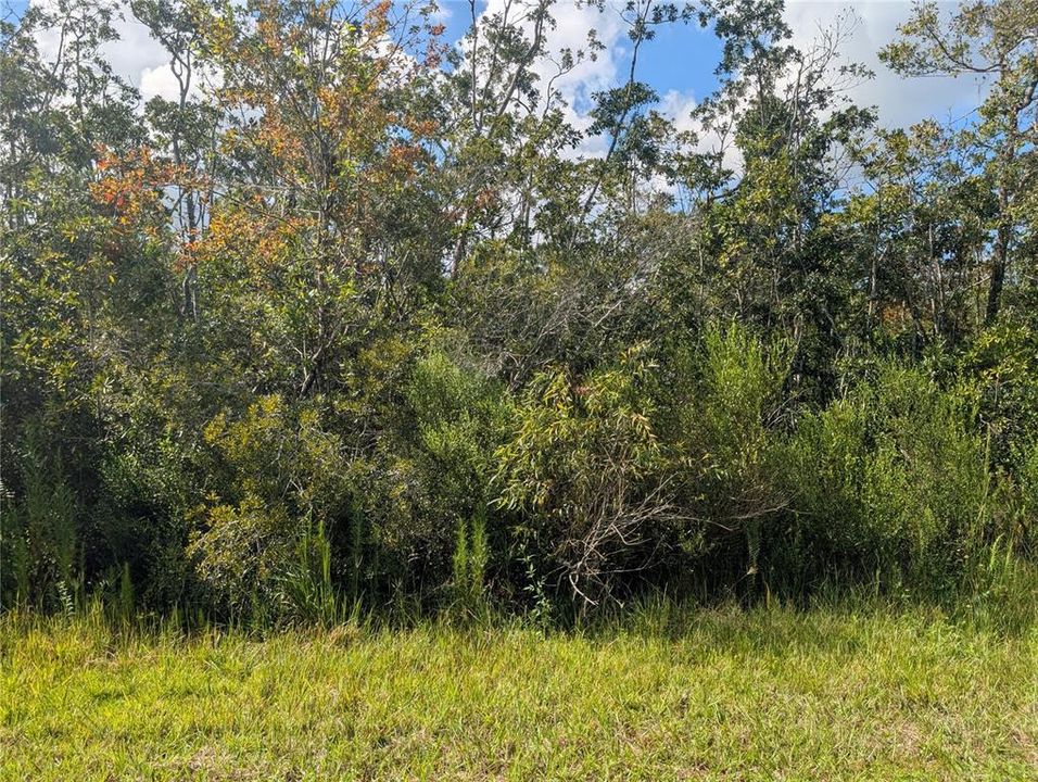 待售: $9,900 (0.50 acres)