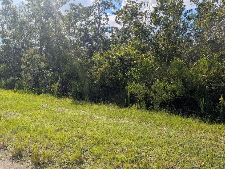 待售: $9,900 (0.50 acres)