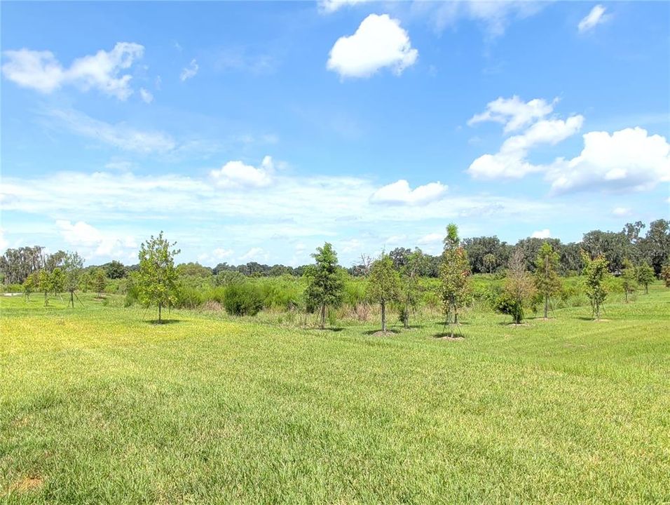 En Venta: $295,000 (3 camas, 2 baños, 1515 Pies cuadrados)