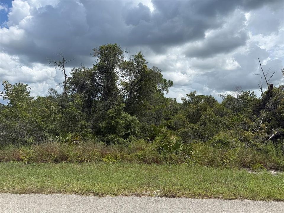 На продажу: $45,000 (0.69 acres)