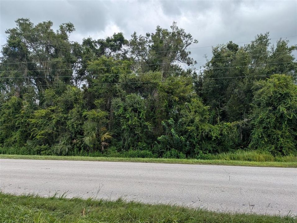 待售: $19,500 (0.18 acres)
