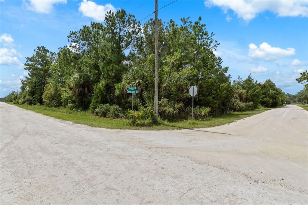 На продажу: $54,900 (1.16 acres)