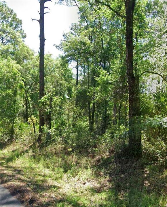 For Sale: $17,000 (0.22 acres)