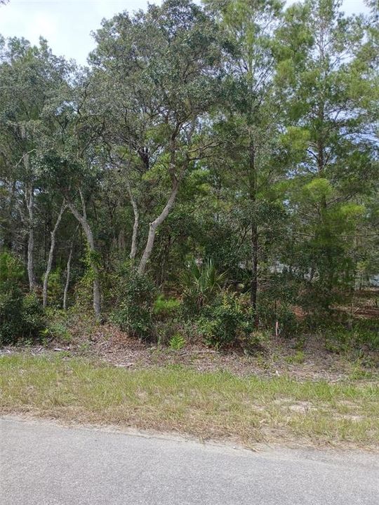 На продажу: $20,000 (0.24 acres)