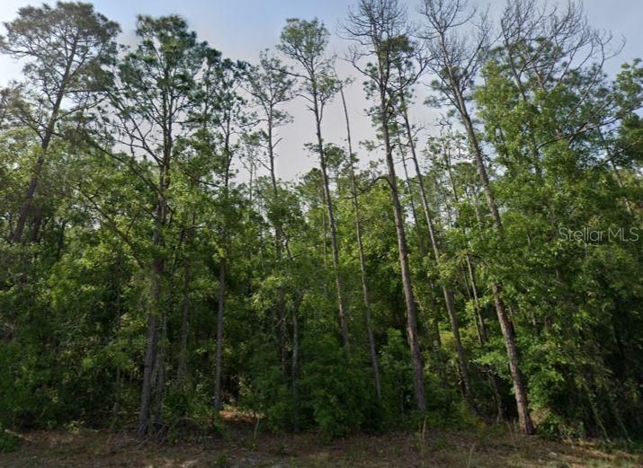 На продажу: $33,490 (2.00 acres)