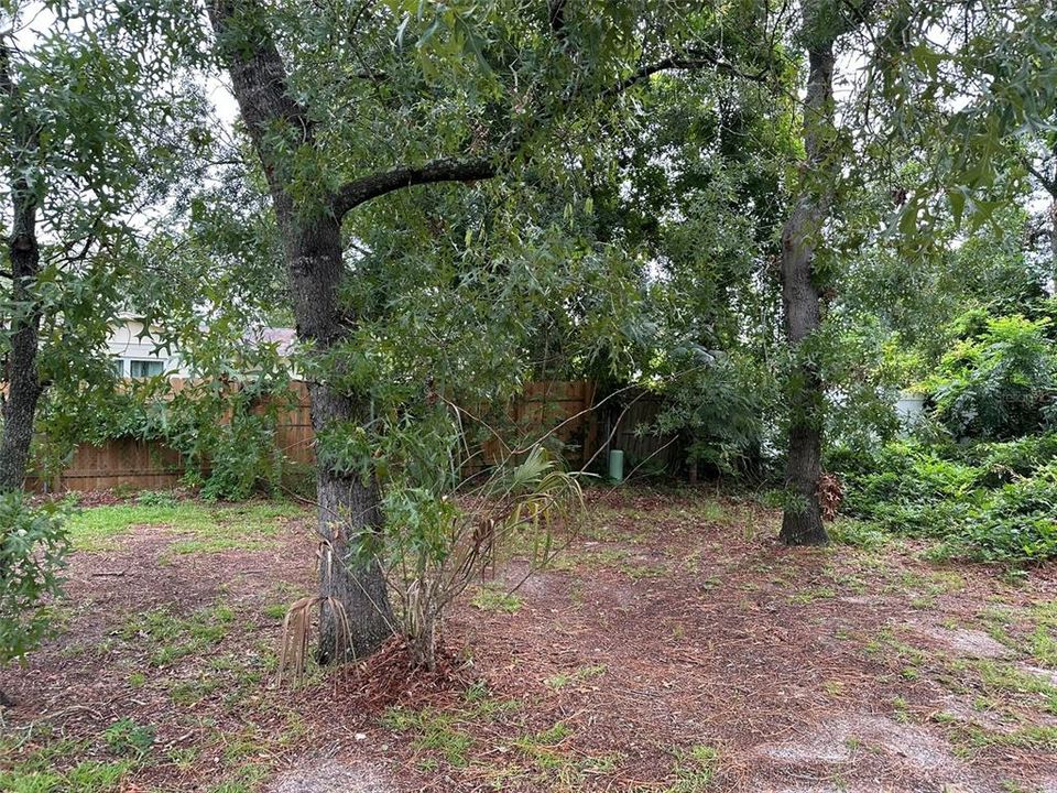 В аренду: $1,600 (3 спален, 2 ванн, 1412 Квадратных фут)