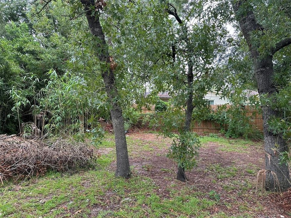 В аренду: $1,600 (3 спален, 2 ванн, 1412 Квадратных фут)