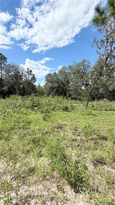En Venta: $15,000 (0.24 acres)