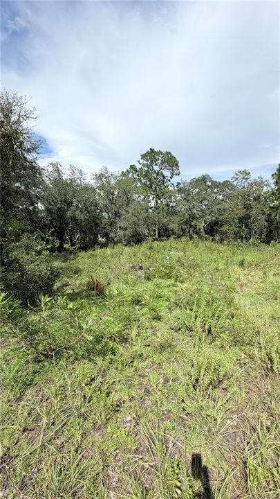 En Venta: $15,000 (0.24 acres)