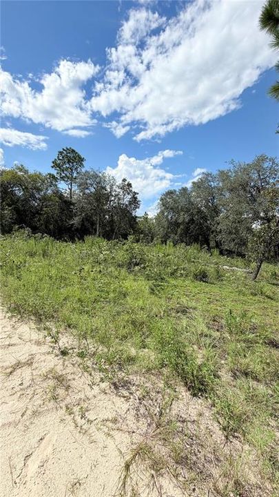 En Venta: $15,000 (0.24 acres)