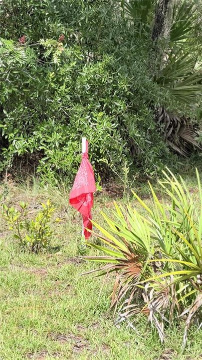 En Venta: $15,000 (0.24 acres)