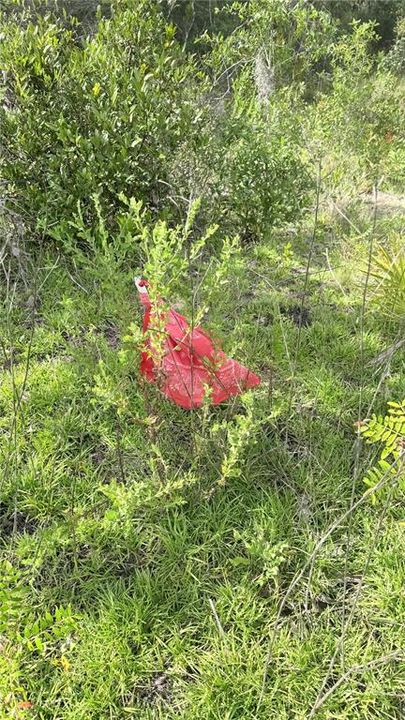 En Venta: $15,000 (0.24 acres)