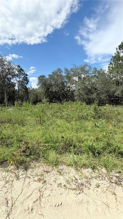 En Venta: $15,000 (0.24 acres)