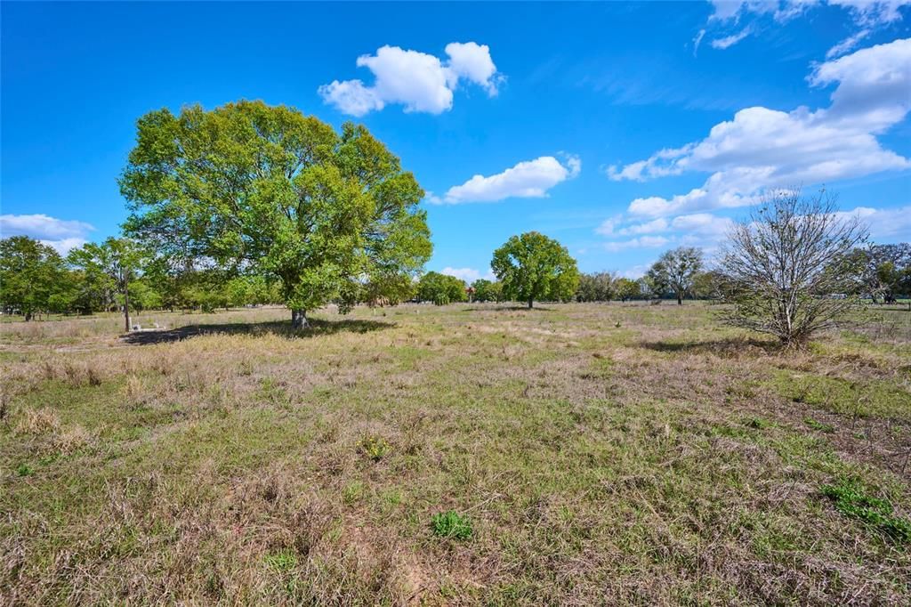 待售: $298,500 (5.05 acres)