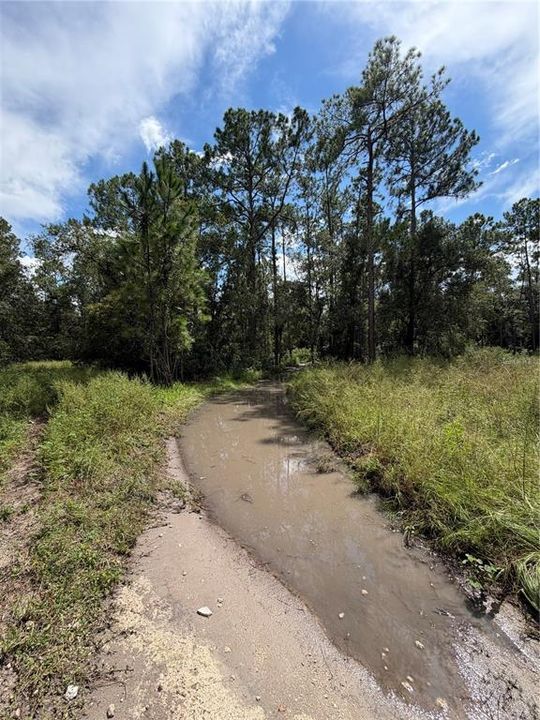 待售: $86,500 (1.08 acres)