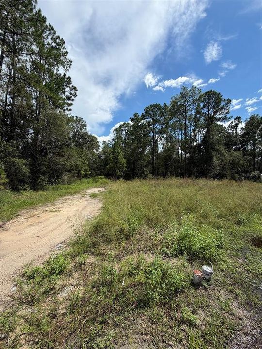 待售: $86,500 (1.08 acres)