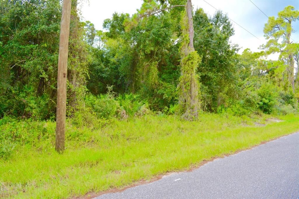 For Sale: $15,000 (0.23 acres)