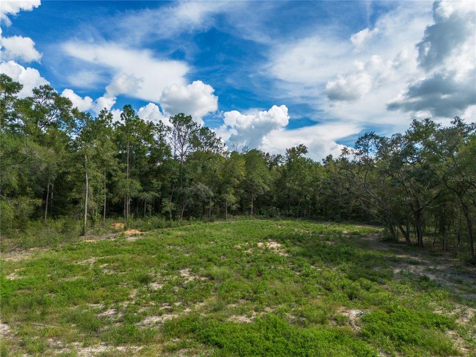 En Venta: $29,900 (1.25 acres)