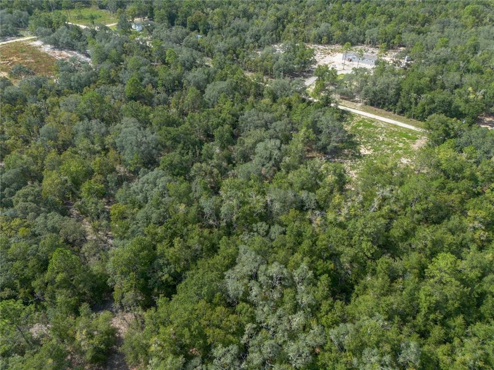En Venta: $29,900 (1.25 acres)