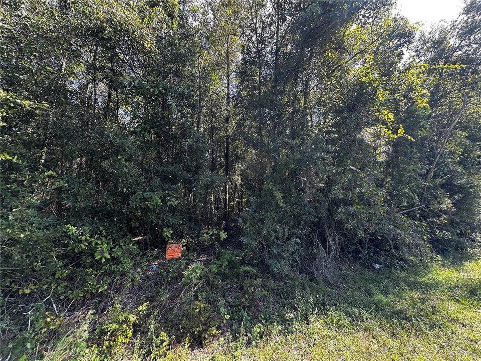 For Sale: $450,000 (13.76 acres)