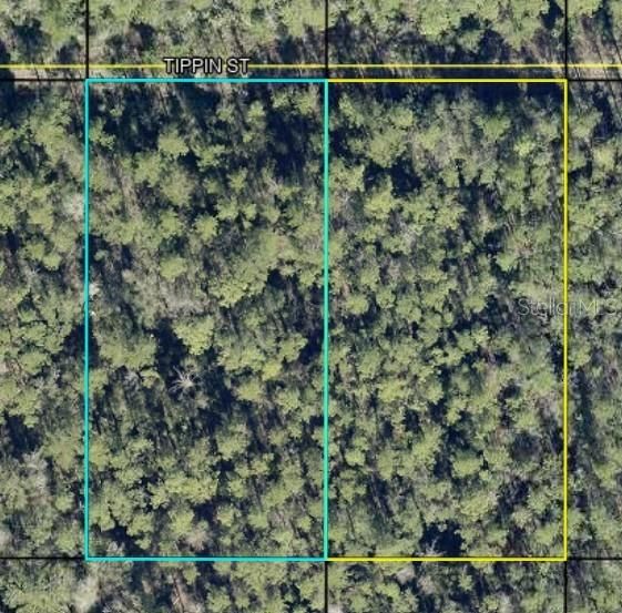 待售: $11,900 (1.25 acres)
