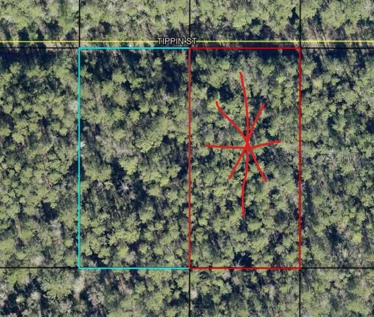待售: $11,900 (1.25 acres)