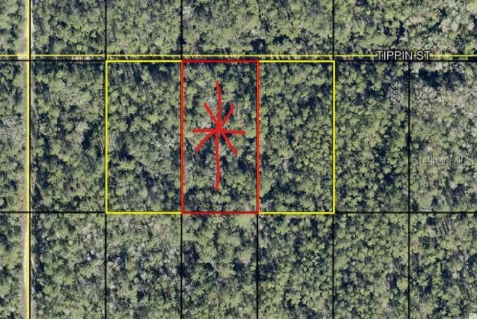 En Venta: $11,900 (1.25 acres)