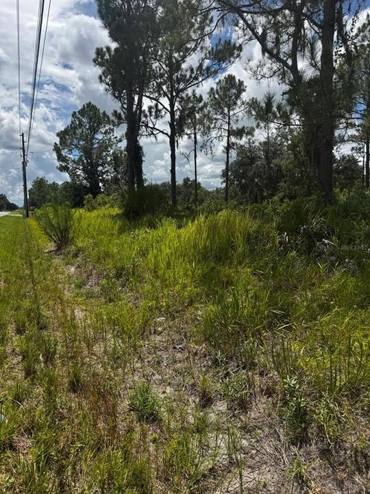 For Sale: $155,000 (3.66 acres)