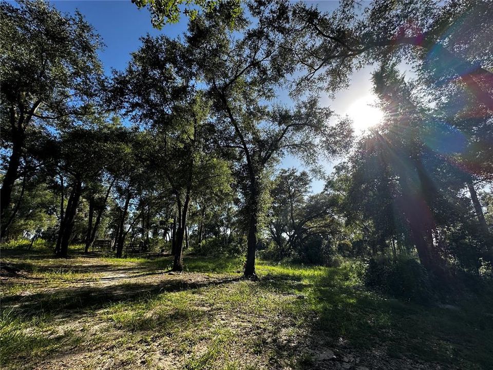 En Venta: $259,000 (3.23 acres)