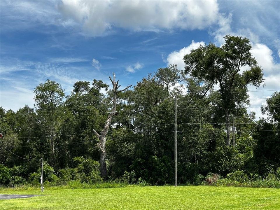 For Sale: $259,000 (3.23 acres)