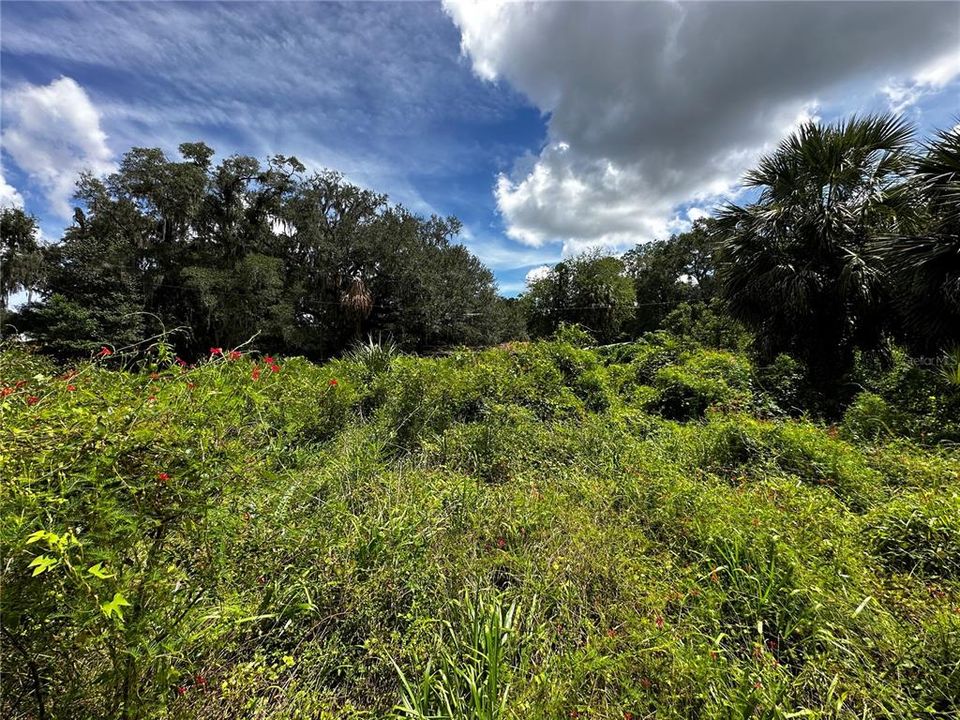 For Sale: $259,000 (3.23 acres)