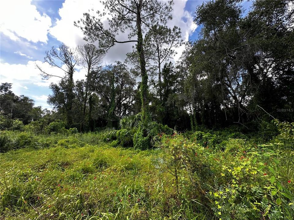 For Sale: $259,000 (3.23 acres)