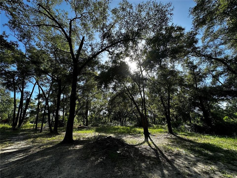 En Venta: $259,000 (3.23 acres)