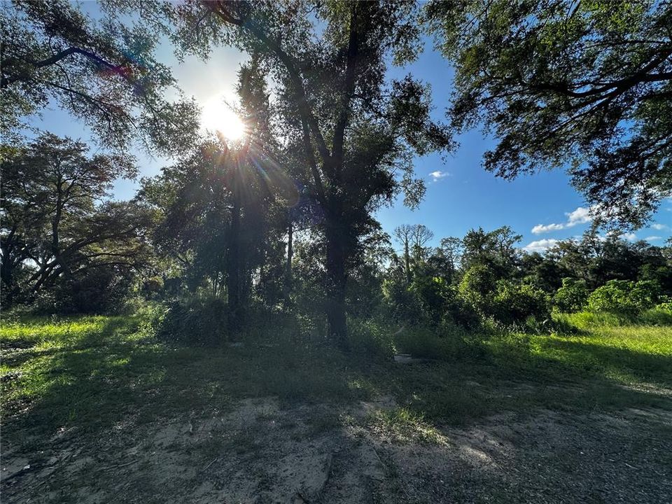 En Venta: $259,000 (3.23 acres)