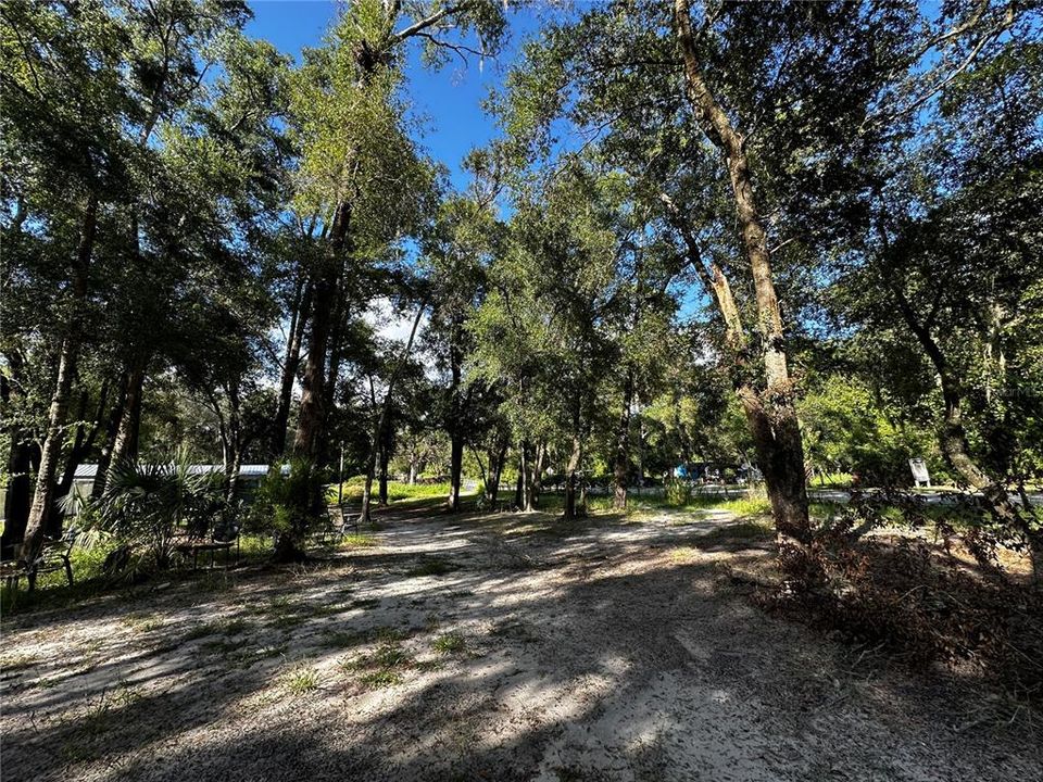 En Venta: $259,000 (3.23 acres)