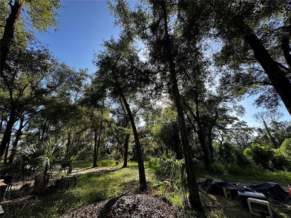 En Venta: $259,000 (3.23 acres)