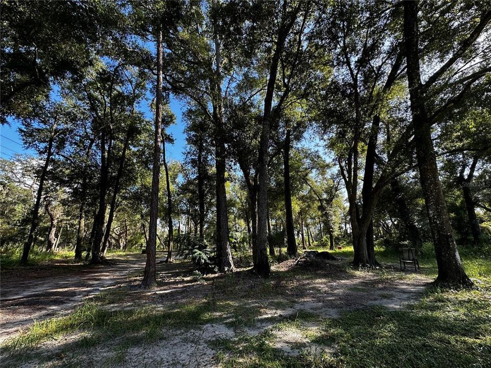 En Venta: $259,000 (3.23 acres)