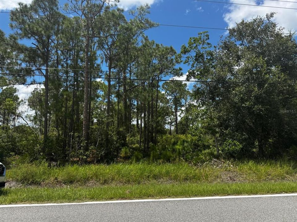 На продажу: $155,000 (3.66 acres)