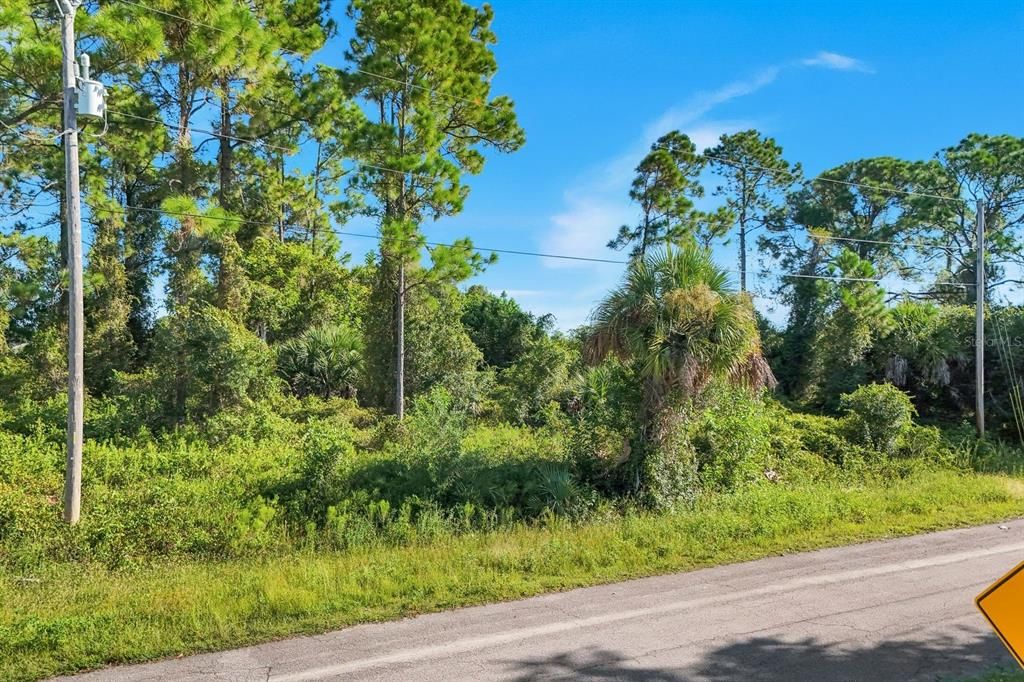 En Venta: $29,900 (0.32 acres)