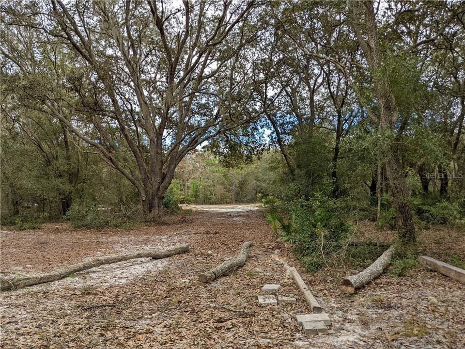 For Sale: $21,999 (0.22 acres)