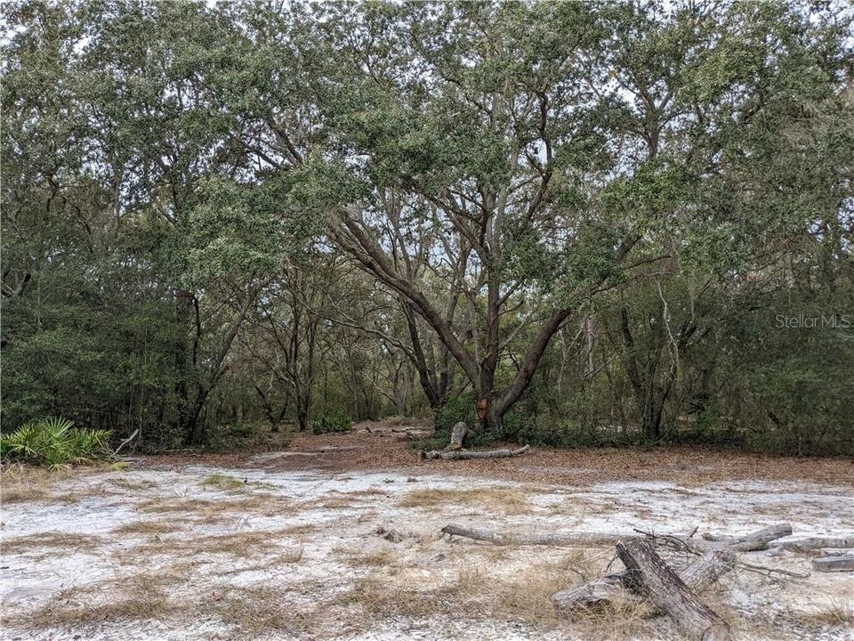 For Sale: $21,999 (0.22 acres)